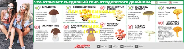 мяу мяу мука Алексин