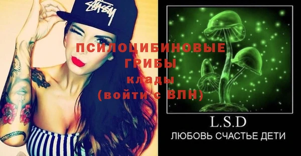 крисы Абаза