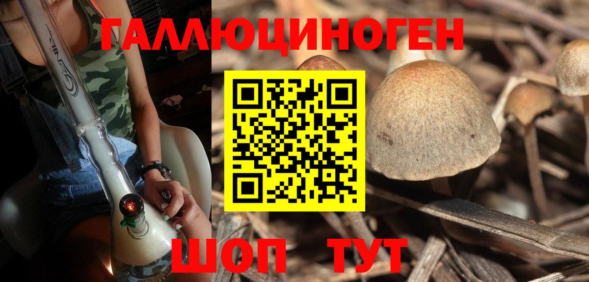 Галлюциногенные грибы мицелий  Псилоцибиновые грибы Magic Shrooms  Вход с VPN  Богородицк 