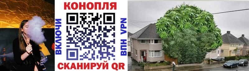 Канабис MAZAR Богородицк
