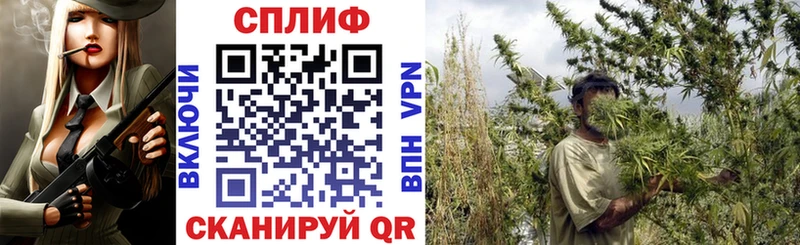 Марихуана сатива Богородицк